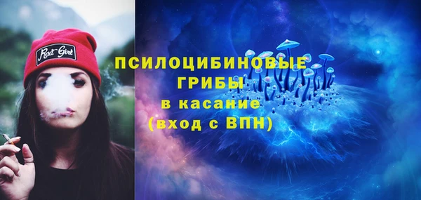 трава Абаза