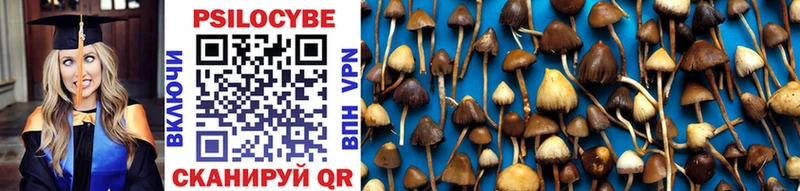Псилоцибиновые грибы Psilocybe  купить наркоту  Фёдоровский 